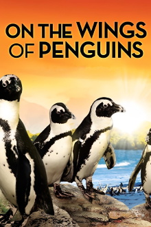 On the Wings of Penguins Trailer