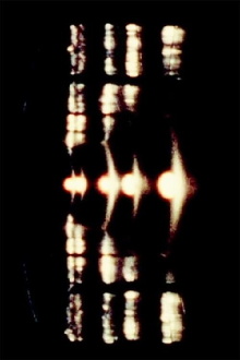 One Trailer