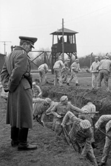 One Day: A Report from a German Concentration Camp 1939 Trailer