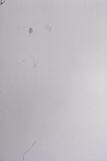 One Frame Duration Trailer