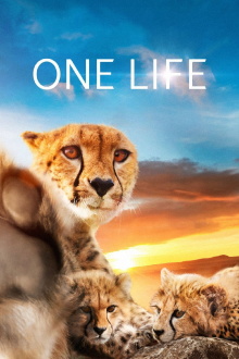 One Life Trailer
