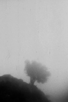 Only If You Could See a View Above the Clouds Trailer