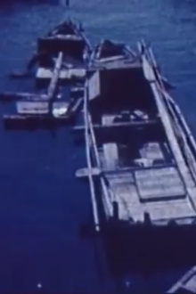 Onomichi Trailer