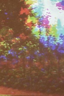 Oo Fifi, Five Days In Claude Monet's Garden, Part 1 Trailer