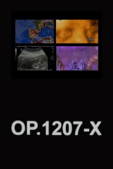 OP.1207-X Trailer