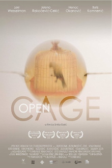 Open Cage Trailer