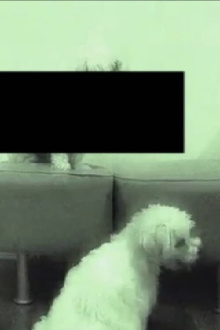 opium_latte raw studio sessions vol. 2 Trailer