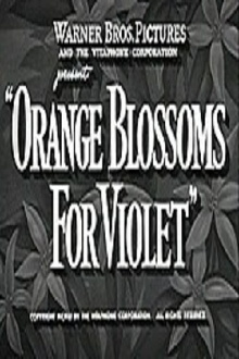 Orange Blossoms for Violet Trailer
