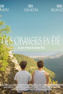Oranges in Summer Trailer