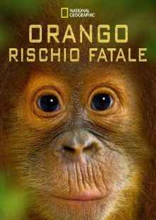 Orango rischio fatale Trailer