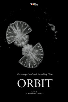 Orbit Trailer