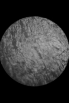 Orbita Trailer