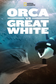 Orca Vs. Great White Trailer