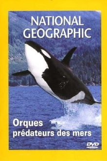 Orcas, Predators of the Seas Trailer