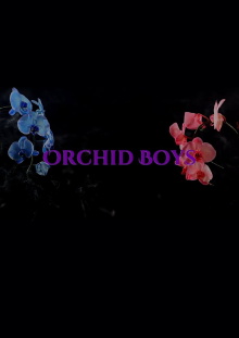 Orchid Boys Trailer