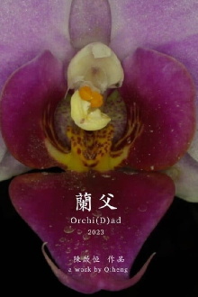 Orchi(D)ad Trailer