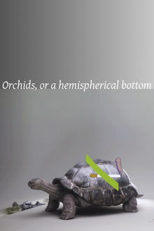 Orchids, or a hemispherical bottom Trailer