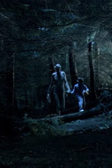 Ordan's Forest Trailer