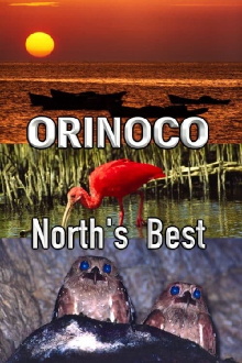 Orinoco, North’s Best Trailer