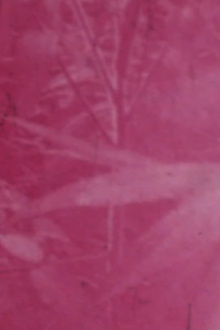 Ornamentals Trailer