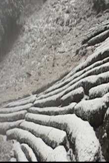 Osawa Winter Trailer
