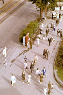 Oslo Trailer