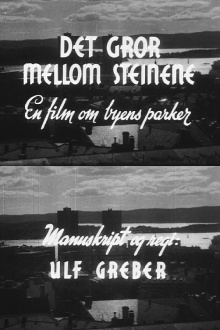 Oslofilm: Det gror mellom steinene Trailer