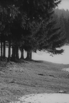 Ostern in Schwedt Trailer