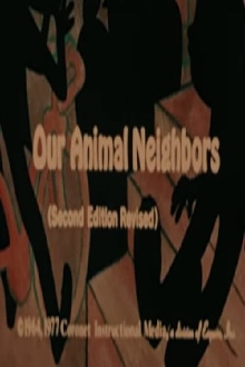 Our Animal Neighbors (Second Edition) Trailer