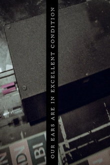 Our Ears are in excellent condition Trailer