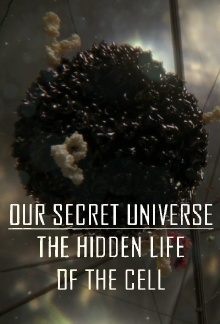 Our Secret Universe: The Hidden Life of the Cell Trailer