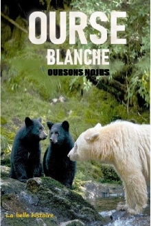 Ourse blanche, oursons noirs : la belle histoire Trailer