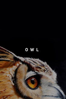 Owl Trailer