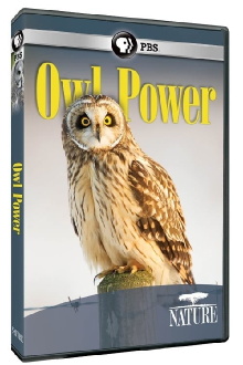 Owl Power Trailer