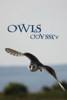 Owl's Odyssey Trailer