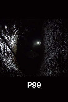 P99 Trailer