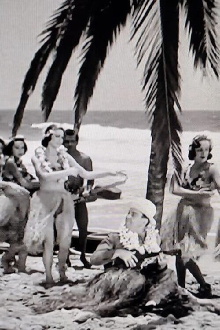 Pacific Paradise Trailer
