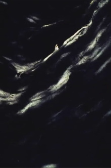 Painted Earth Trailer