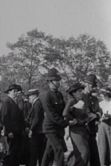 Palace Pandemonium Trailer