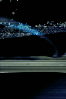 Palindrome Trailer