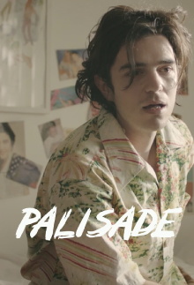 Palisade Trailer