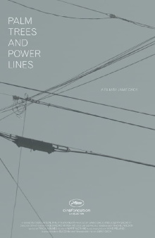 Palm Trees and Power Lines Trailer