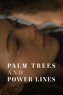 Palm Trees and Power Lines Trailer