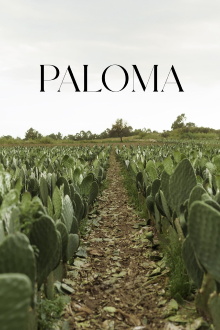 Paloma Trailer