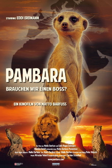 Pambara - Brauchen wir einen Boss? Trailer