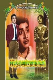 Panchavarna Kili Trailer