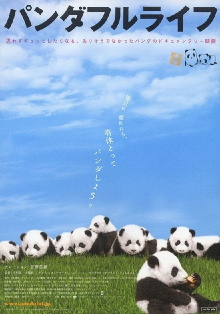 Panda Days Trailer