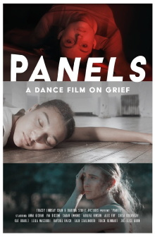 Panels Trailer