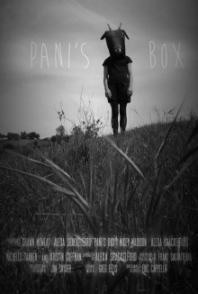 Pani's Box Trailer