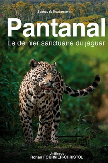 Pantanal, le dernier sanctuaire du jaguar Trailer